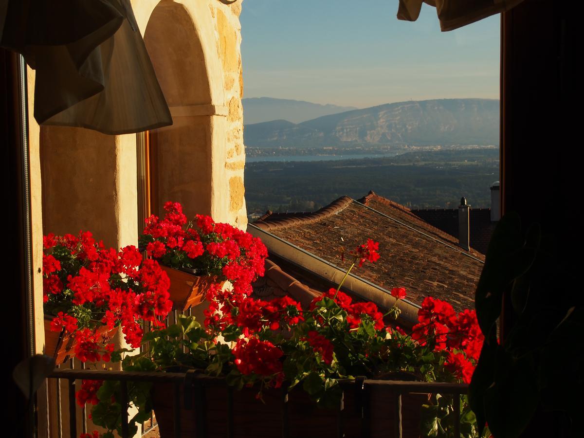 Les Lumieres De Geneve Bed & Breakfast Grilly Exterior photo